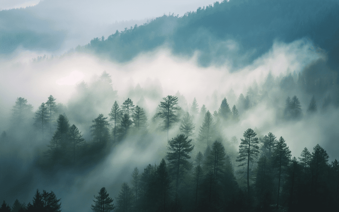 Catastrophic Surge in Greenhouse Gas Emissions: Causes, Consequences & Urgent Solutions